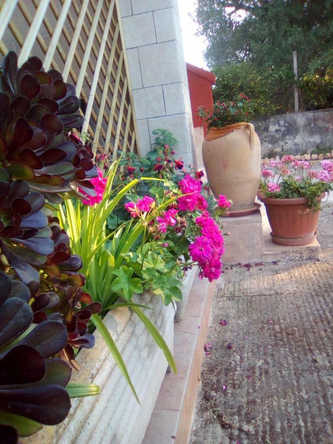 Bed and Breakfast Casa Te La Bradamante Magliano Exteriér fotografie